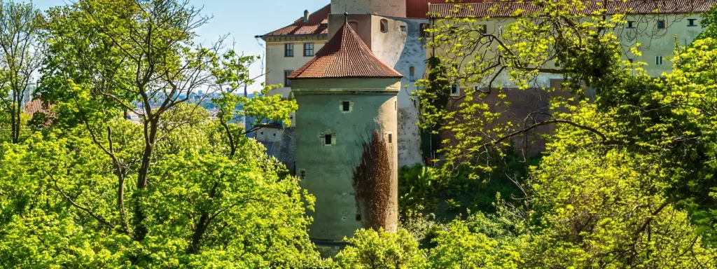 Torre Daliborka castillo Praga